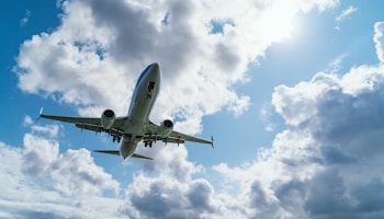 Japan Airlines baggage limits