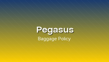 Pegasus Airlines baggage limits